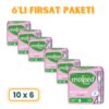 Molped Ultra Normal Ped Maximum Kapasite & İncelik 10'lu 6 Adet